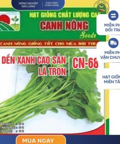 GÓI 20 GRAM - HẠT GIỐNG DỀN XANH CAO SẢN LÁ TRÒN CN68 CANH NÔNG