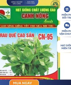 GÓI 5 GRAM - HẠT GIỐNG RAU QUẾ CAO SẢN CN95 CANH NÔNG