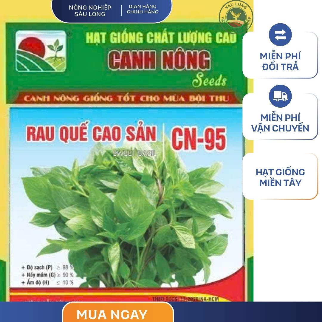 GÓI 5 GRAM - HẠT GIỐNG RAU QUẾ CAO SẢN CN95 CANH NÔNG
