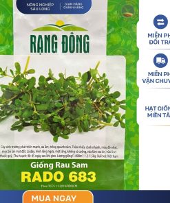 GÓI 1 GRAM - HẠT GIỐNG RAU SAM RADO 683 RẠNG ĐÔNG