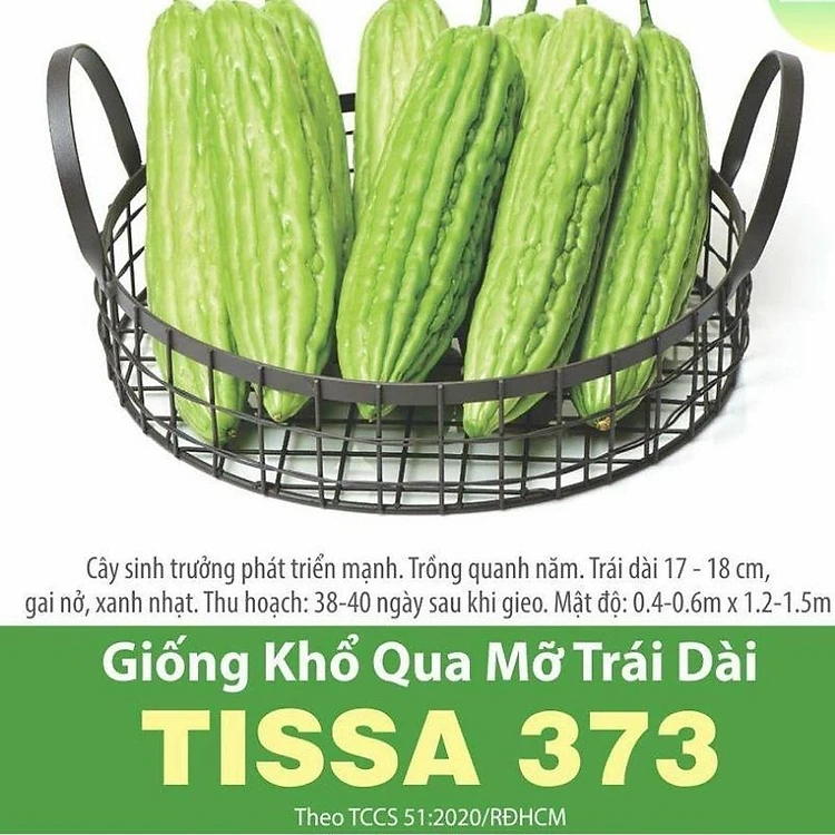 GÓI 5 HẠT– HẠT GIỐNG KHỔ QUA MỠ TRÁI DÀI LAI F1 TISSA 373 RẠNG ĐÔNG