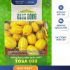 GÓI 5 HẠT – HẠT GIỐNG DƯA LÊ HÀN QUỐC TOSA 033 RẠNG ĐÔNG
