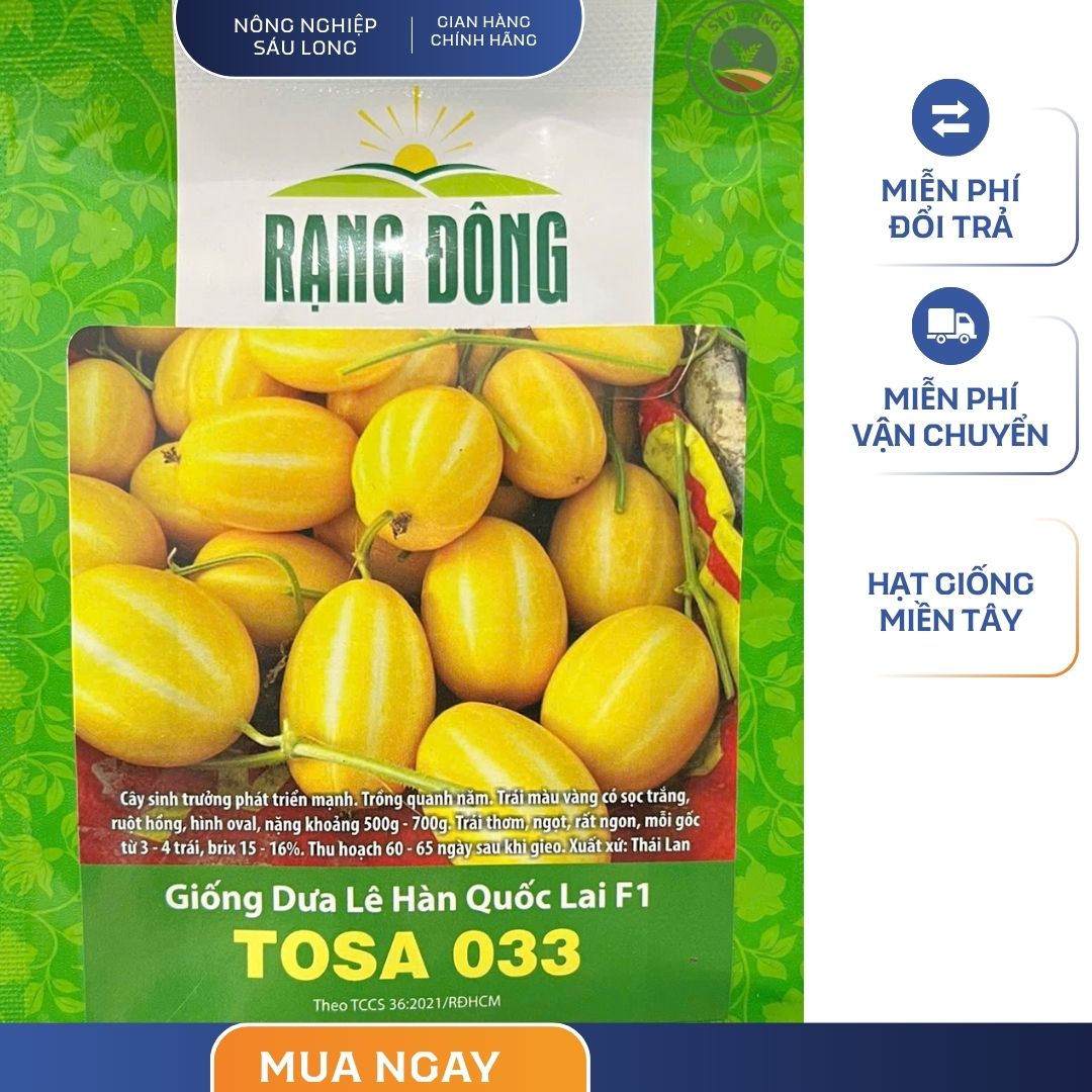 GÓI 5 HẠT – HẠT GIỐNG DƯA LÊ HÀN QUỐC TOSA 033 RẠNG ĐÔNG