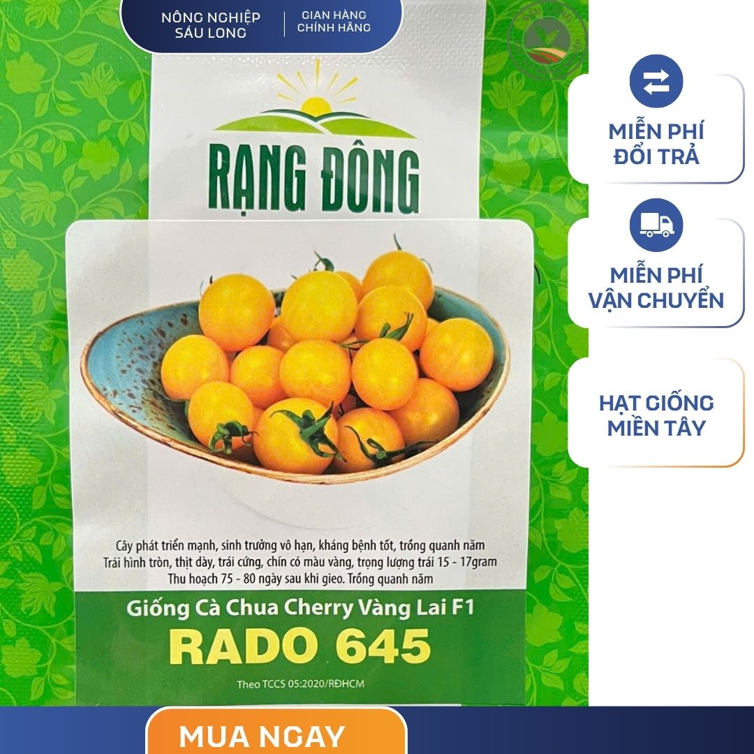 GÓI 0.1 GRAM – HẠT GIỐNG CÀ CHUA CHERY VÀNG LAI F1 RADO 645 RẠNG ĐÔNG