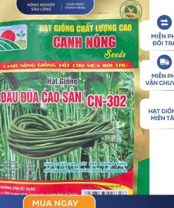 GÓI 10 GRAM - HẠT GIỐNG ĐẬU ĐŨA DÂY CN302 CANH NÔNG