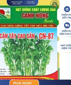GÓI 5 GRAM - HẠT GIỐNG CẦN TÂY CAO SẢN CN87 CANH NÔNG