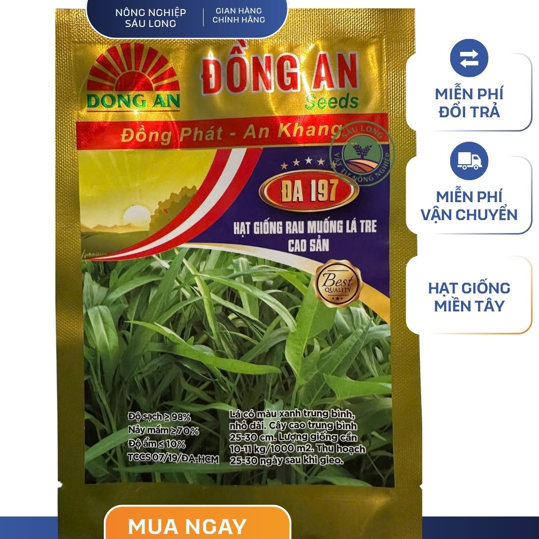 HẠT GIỐNG RAU MUỐNG LÁ TRE ĐỒNG AN - LÁ SUÔN ĐẸP - GÓI 50GR