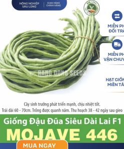 GÓI 5 GRAM– HẠT GIỐNG ĐẬU ĐŨA SIÊU DÀI LAI F1 MOJAVE 446 RẠNG ĐÔNG