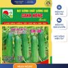 GÓI 0.5 GRAM - HẠT GIỐNG DƯA LEO LAI F1 CN38 CANH NÔNG