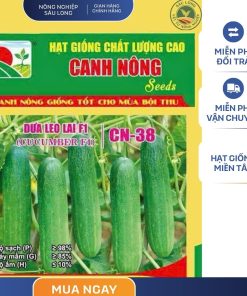 GÓI 0.5 GRAM - HẠT GIỐNG DƯA LEO LAI F1 CN38 CANH NÔNG