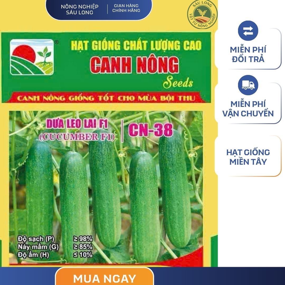 GÓI 0.5 GRAM - HẠT GIỐNG DƯA LEO LAI F1 CN38 CANH NÔNG