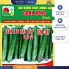 GÓI 0.5 GRAM - HẠT GIỐNG DƯA LEO HẠT LÉP CN37 CANH NÔNG