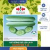 GÓI 20 HẠT - HẠT GIỐNG DƯA LEO LAI F1 HUNTER 1.0 HAI MŨI TÊN ĐỎ - NĂNG SUẤT CAO