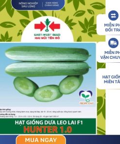 GÓI 20 HẠT - HẠT GIỐNG DƯA LEO LAI F1 HUNTER 1.0 HAI MŨI TÊN ĐỎ - NĂNG SUẤT CAO