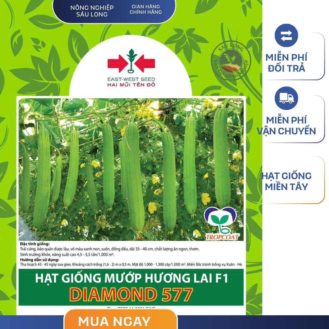 GÓI 8 HẠT - HẠT GIỐNG MƯỚP HƯƠNG LAI F1 DIAMOND 577 HAI MŨI TÊN ĐỎ - NĂNG SUẤT CAO