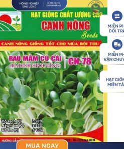 GÓI 20 GRAM - RAU MẦM CỦ CẢI TRẮNG CN78 CANH NÔNG