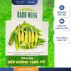 GÓI 5 GRAM - HẠT GIỐNG BẮP NẾP HƯƠNG VÀNG 255 RẠNG ĐÔNG