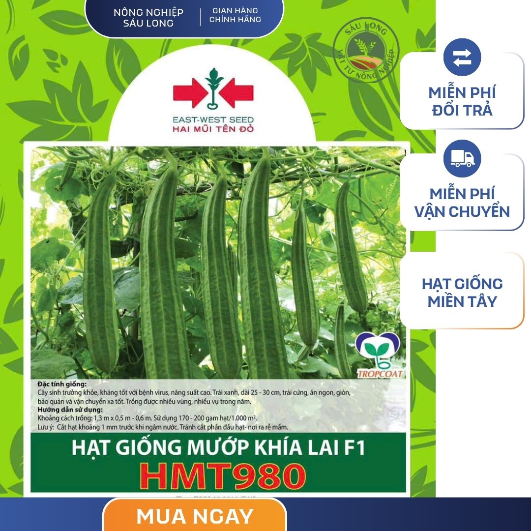 GÓI 8 HẠT - HẠT GIỐNG MƯỚP KHÍA LAI F1 HMT980 HAI MŨI TÊN ĐỎ - NĂNG SUẤT CAO