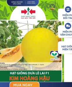 GÓI 10 HẠT - HẠT GIỐNG DƯA LÊ LAI F1 KIM HOÀNG HẬU HAI MŨI TÊN ĐỎ - NĂNG SUẤT CAO