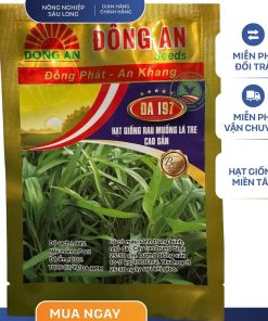 HẠT GIỐNG RAU MUỐNG LÁ TRE ĐỒNG AN GÓI 50GR