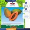 GÓI 3 HẠT - HẠT GIỐNG ĐU ĐỦ LAI F1 SAPNA HAI MŨI TÊN ĐỎ - NĂNG SUẤT CAO