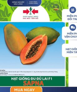 GÓI 3 HẠT - HẠT GIỐNG ĐU ĐỦ LAI F1 SAPNA HAI MŨI TÊN ĐỎ - NĂNG SUẤT CAO