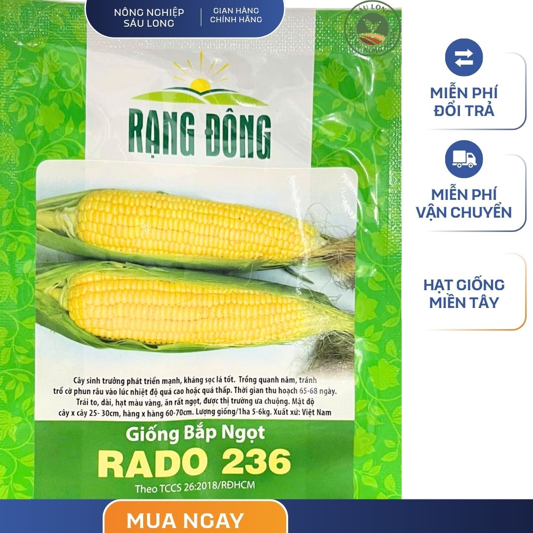 GÓI 5 GRAM - HẠT GIỐNG BẮP NGỌT RADO 236 RẠNG ĐÔNG