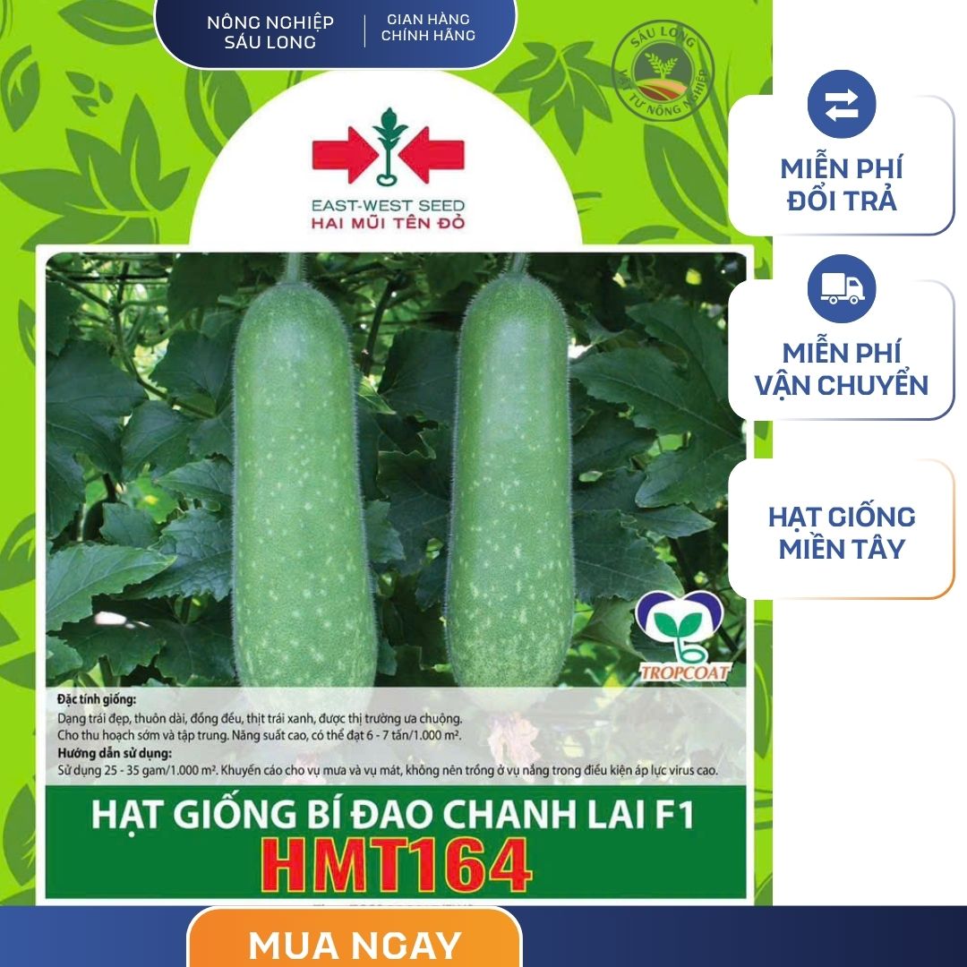 GÓI 6 HẠT - HẠT GIỐNG BÍ ĐAO CHANH LAI F1 HMT164 HAI MŨI TÊN ĐỎ - NĂNG SUẤT CAO