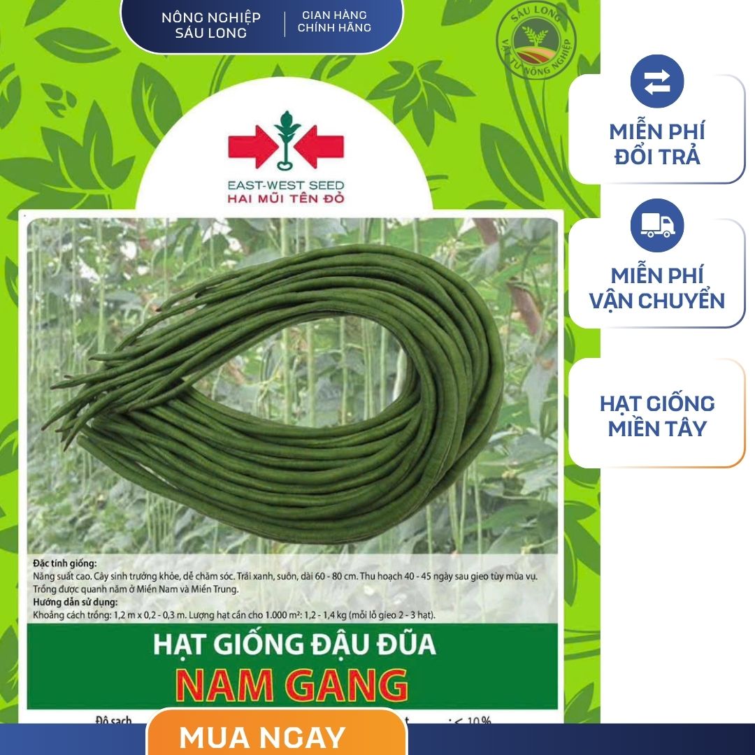 GÓI 20 HẠT - HẠT GIỐNG ĐẬU ĐŨA NAM GANG HAI MŨI TÊN ĐỎ - NĂNG SUẤT CAO