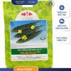 GÓI 6 HẠT - HẠT GIỐNG KHỔ QUA LAI F1 PALEE PLUS HAI MŨI TÊN ĐỎ - NĂNG SUẤT CAO