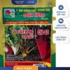 GÓI 5 GRAM - HẠT GIỐNG CẢI CẦU VÒNG ĐA SẮC CN631 CANH NÔNG