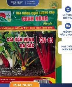 GÓI 5 GRAM - HẠT GIỐNG CẢI CẦU VÒNG ĐA SẮC CN631 CANH NÔNG