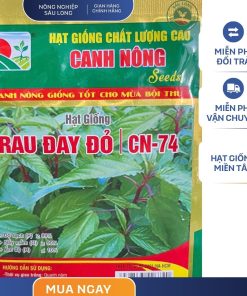 GÓI 10 GRAM - RAU ĐAY ĐỎ CN74 CANH NÔNG