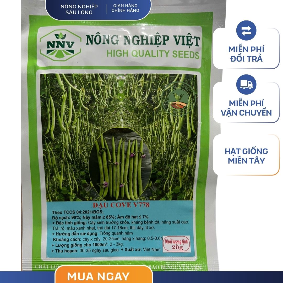 GÓI 20 GRAM - HẠT GIỐNG ĐẬU COVE V778 NÔNG NGHIỆP VIỆT - RỘ TRÁI