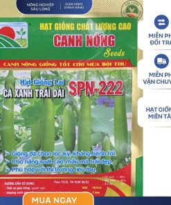 GÓI 1 GRAM - CÀ XANH TRÁI DÀI SPN 222 CANH NÔNG