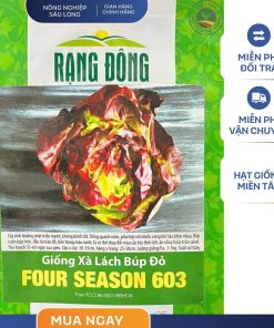 GÓI 5 GRAM – HẠT GIỐNG XÀ LÁCH BÚP ĐỎ FOUR SEASON 603 RẠNG ĐÔNG