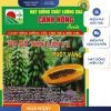 GÓI 10 HẠT - HẠT GIỐNG ĐU ĐỦ RUỘT VÀNG CN34 CANH NÔNG