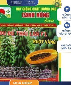 GÓI 10 HẠT - HẠT GIỐNG ĐU ĐỦ RUỘT VÀNG CN34 CANH NÔNG