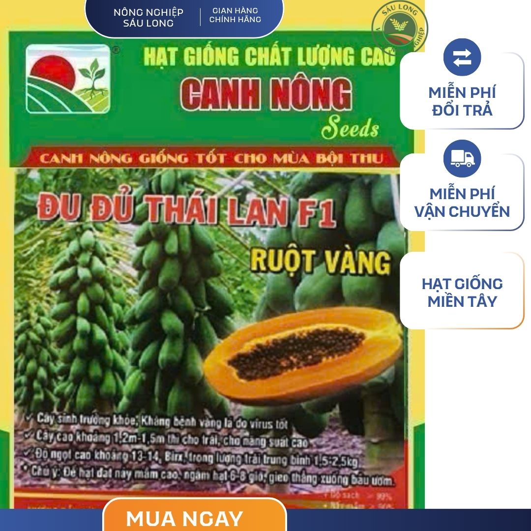 GÓI 10 HẠT - HẠT GIỐNG ĐU ĐỦ RUỘT VÀNG CN34 CANH NÔNG