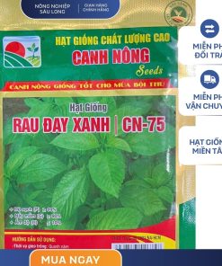 GÓI 10 GRAM - RAU ĐAY XANH CN75 CANH NÔNG