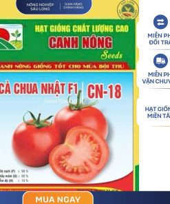 GÓI 0.1 GRAM - CÀ CHUA NHẬT F1 CN18 CANH NÔNG