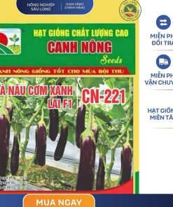 GÓI 1 GRAM - CÀ NÂU CƠM XANH CN221 CANH NÔNG