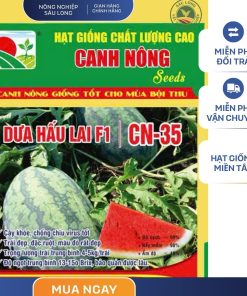 GÓI 10 HẠT - HẠT GIỐNG DƯA HẤU LAI F1 CN35 CANH NÔNG