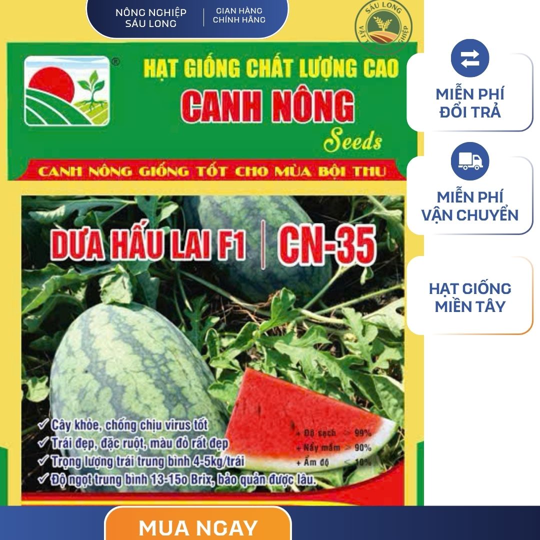 GÓI 10 HẠT - HẠT GIỐNG DƯA HẤU LAI F1 CN35 CANH NÔNG
