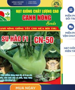 GÓI 0.5 GRAM - HẠT GIỐNG SU HÀO CN50 CANH NÔNG