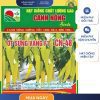 GÓI 0.5 GRAM - HẠT GIỐNG ỚT SỪNG VÀNG F1 CN48 CANH NÔNG