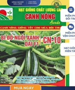 GÓI 10 HẠT - HẠT GIỐNG BÍ ĐỎ NGỒI XANH LAI F1 CN10 CANH NÔNG - NĂNG SUẤT CAO
