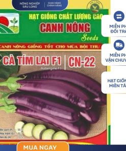 GÓI 1 GRAM - CÀ TÍM LAI F1 CN22 CANH NÔNG