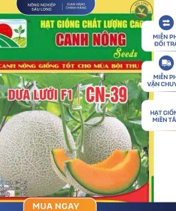 GÓI 10 HẠT - HẠT GIỐNG DƯA LƯỚI F1 CN39 CANH NÔNG