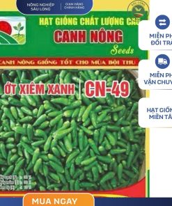 GÓI 0.5 GRAM - HẠT GIỐNG ỚT XIÊM XANH CN49 CANH NÔNG - NĂNG SUẤT CAO